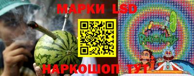 амф Камышлов