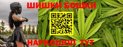 амф Камышлов