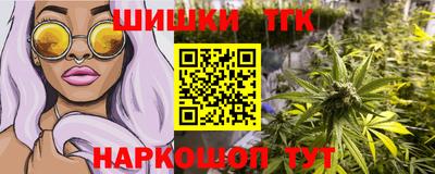 амф Камышлов