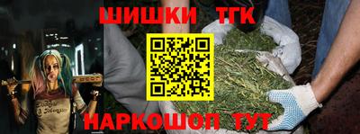 амф Камышлов