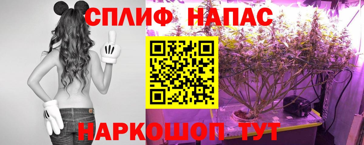 Бошки Шишки MAZAR Кузнецк